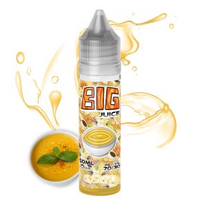 Big Juice 50 ml - Custard